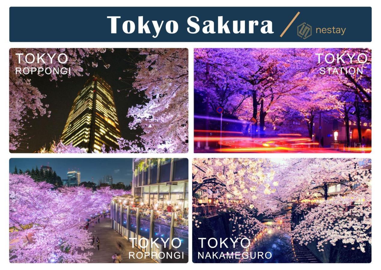 Nestay Inn Tokyo Otsuka 403 المظهر الخارجي الصورة